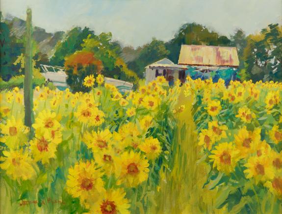 Sea of Sunflowers